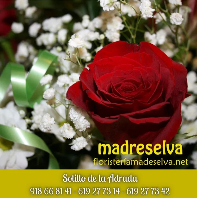Madreselva Arte Floral Ramos de Novia Decoración Floral Bodas y Ceremonias