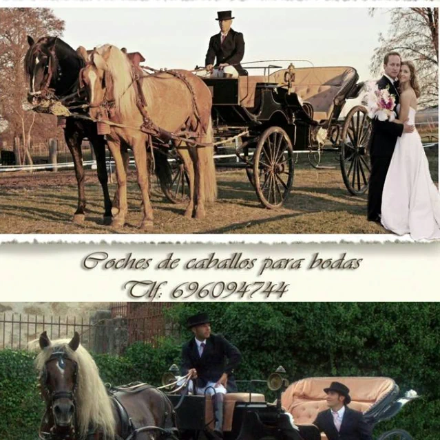Club Hípico Roble Alto Coches de Caballos para Bodas
