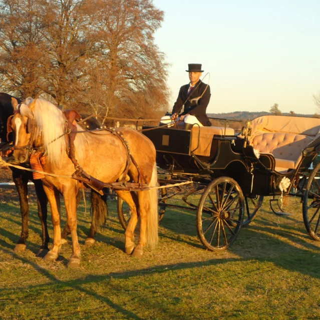 Club Hípico Roble Alto Coches de Caballos para Bodas