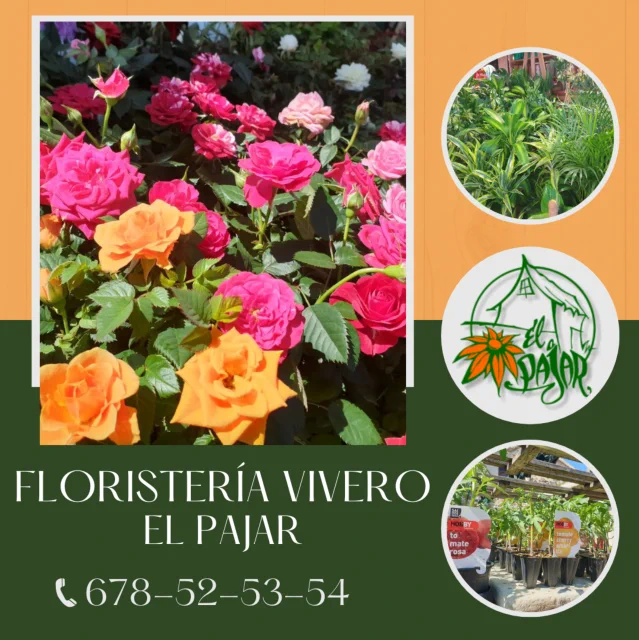 Decoración floral bodas y ramos de novias El Pajar de Piedralaves